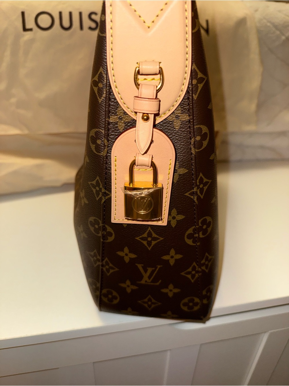 Louis Vuitton slouchy MM - Picture 3 of 14